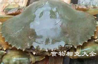 青蟹的营养价值