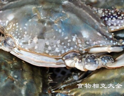 梭子蟹的营养价值