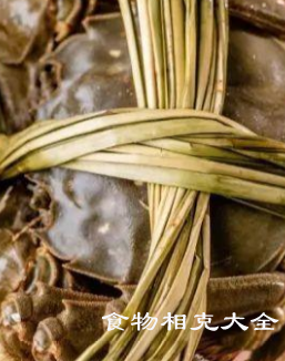 大闸蟹的营养价值