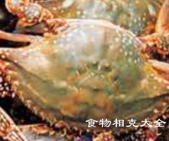 海蟹的营养价值