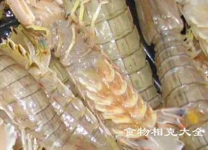 虾虎的营养价值 虾虎的营养价值