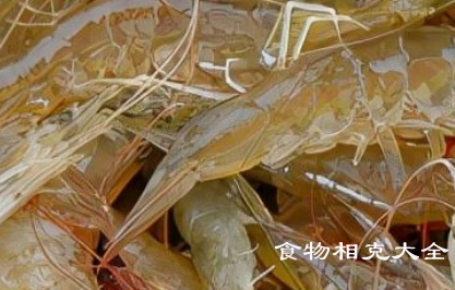 长毛对虾的营养价值