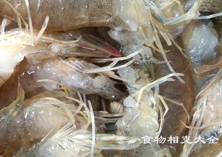 草虾的营养价值 草虾的营养价值