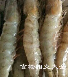 海虾的营养价值