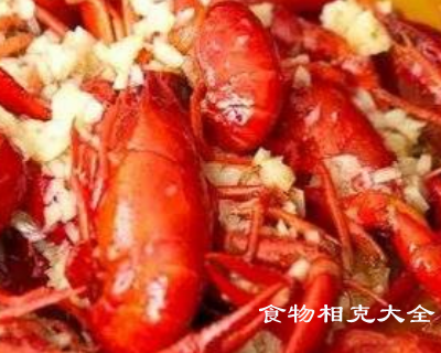 龙虾的营养价值