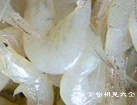 白虾的营养价值