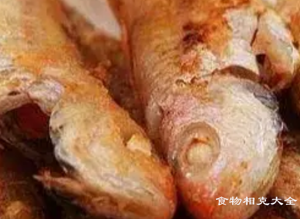 红衫鱼的营养价值
