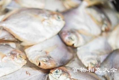 金鲳鱼的营养价值