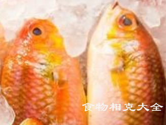 红鲷鱼的营养价值