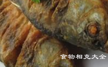海鲫鱼的营养价值