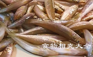沙尖鱼的营养价值