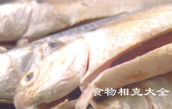 鲻鱼的营养价值
