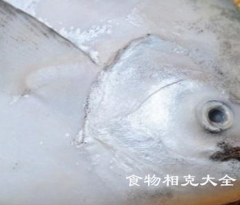 鲳鱼的营养价值