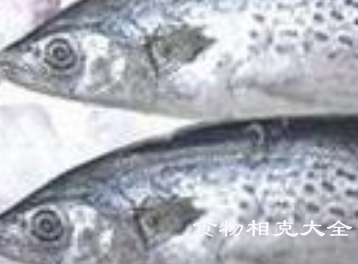 鲅鱼的营养价值