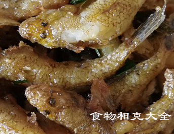 狗母鱼的营养价值