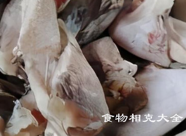 鱼下巴的营养价值