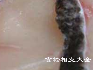 青甘鱼的营养价值