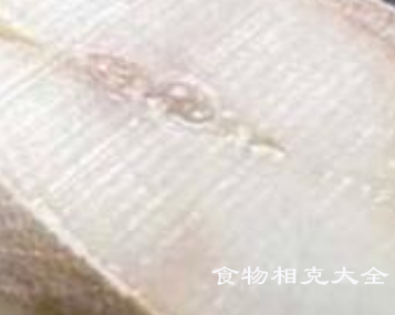 雪斑鱼的营养价值