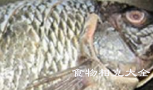 吴郭鱼的营养价值