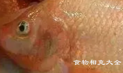 尼罗红鱼的营养价值