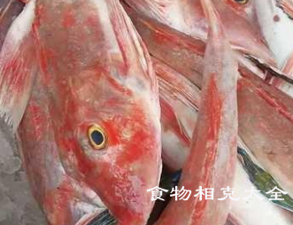 乌仔鱼的营养价值