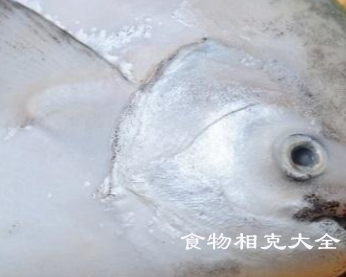 白鲳鱼的营养价值