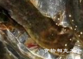绿豆鱼的营养价值