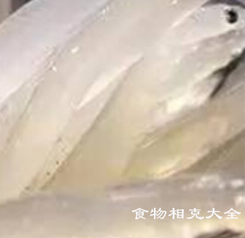 水晶鱼的营养价值