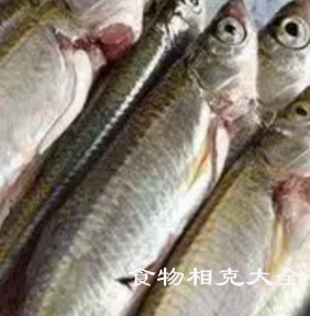 白鱼的营养价值