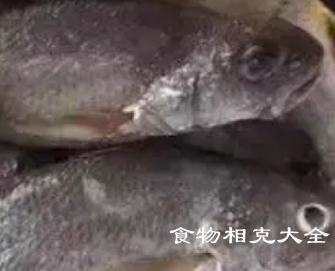 白姑鱼的营养价值