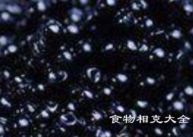 鱼子酱的营养价值 鱼子酱的营养价值