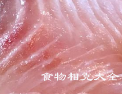 鲷鱼的营养价值