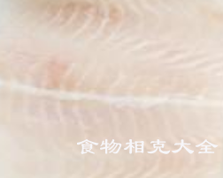 龙利鱼的营养价值 龙利鱼的营养价值