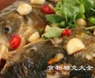 鳙鱼的营养价值