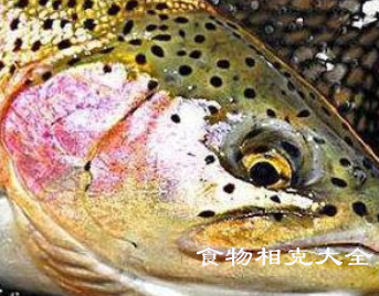 虹鳟鱼的营养价值