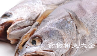 鮸鱼的营养价值 鮸鱼的营养价值