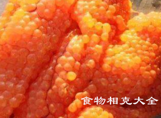 鱼籽的营养价值