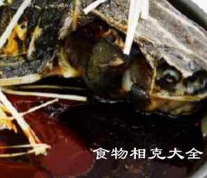 鲟鱼的营养价值