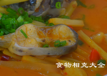 鮰鱼的营养价值