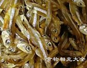 丁香鱼的营养价值