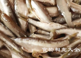 白条鱼的营养价值