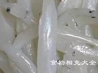 银鱼的营养价值