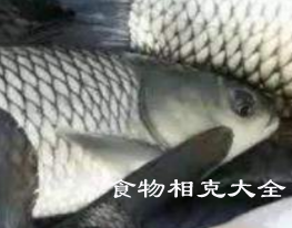 草鱼的营养价值