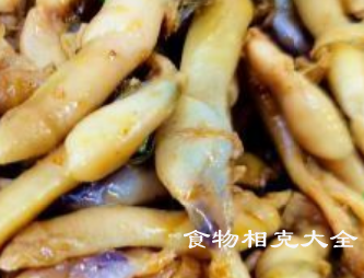 蛏子的营养价值