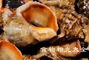 海螺的营养价值