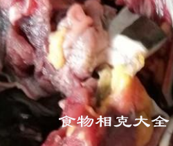甲鱼的营养价值