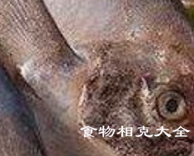 鲳鱼的营养价值