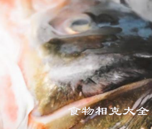鱼头的营养价值