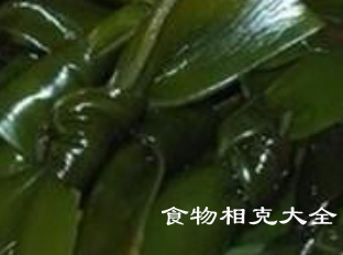 海带的营养价值