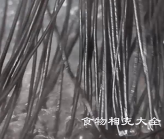 蕨根粉的营养价值